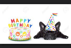 Happy Birthday French Bulldog Happy Birthday French Bulldog Bulldog Happy Birthday Happy Birthday