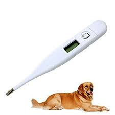 Digital Pet Thermometer Fast Rectal And Oral Thermometer For Dogs Cats Horses Pets And Livestock Body Temperature Clinic Pet Thermometer Cat Body Dog Health