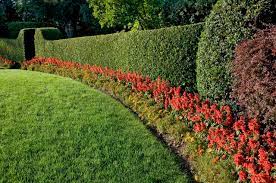 This fence is the ideal background for a cottage garden theme. 37 Best Flower Hedge Ideas 23 Is So Easy