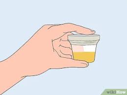 Check spelling or type a new query. 5 Ways To Test For Stds At Home Wikihow