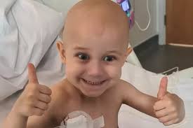 Milo Phelps's Instagram, Twitter & Facebook