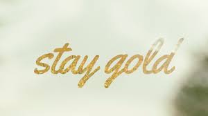 Maybe you would like to learn more about one of these? Stay Gold Quotes Quotesgram