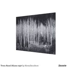 Black And White Canvas Prints Of Trees Trees Ansel Adams 1937 Canvas Print Black And White Canvas White Canvas Art Canvas Art
