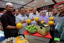 Sijil dikeluarkan diiktiraf oleh jabatan perkhidmatan veterinar malaysia. Kerajaan Sedia Kursus Pemasaran Agrobazaar Online Percuma Trdi News