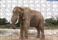 Telecharger Puzzles Animaux Volume 1 Gratuit Gratuicielcom