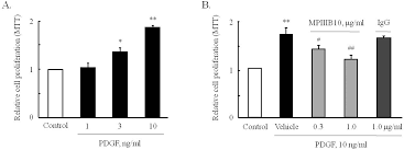The membrane of the skeletal muscle fiber then houses a localized neurotransmitter at this neuromuscular junction point. Plos One A Iso Cubebene Inhibits Pdgf Induced Vascular Smooth Muscle Cell Proliferation By Suppressing Osteopontin Expression