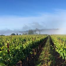 Pin By Joseph Phelps Vineyards On Sonoma Coast Cheese Shop Sonoma Wine Country Wine Tour