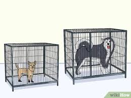 I bought the amazonbasics double door crate and can highly recommend it. 6 Ways To Crate Train Your Dog Or Puppy Wikihow Pet