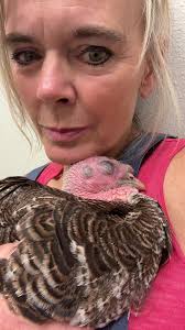 Turkeys from Tractor Supply Keep Dying