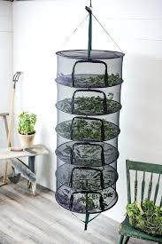 Use your lavendar sachet to keep your sheets or. Pin Op Dried Lavender Buds Walmart