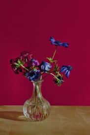 Perhaps you've had the happy occasion of getting married and want to preserve your wedding bouquet; How To Resurrect Your Dying Flowers Cole S Flowers