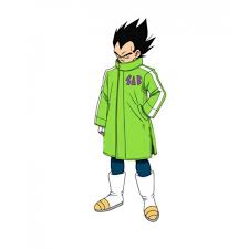 ドラゴンボールz 超 (スーパー) サイヤ人だ孫悟空, hepburn: Dragon Ball Z Goku Sab Broly Cosplay Coat