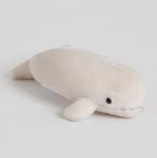 Plush Beluga Whale 6 Beluga Whale Cute Animals Dinosaur Stuffed Animal