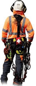 Maybe you would like to learn more about one of these? Mowbray S Tree Service