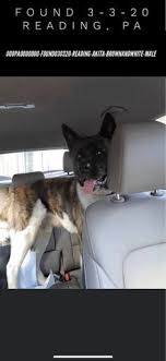Check spelling or type a new query. 200 Pennsylvania Us Lost Dog Registry Ideas Losing A Dog Find Pets Dogs