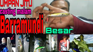 Cara memancing kakap putih di laut di video kali ini papa barra menjawab banyak pertanyaan dari para subscriber tentang. Umpan Lure Jitu Untuk Casting Malam Barramundi Besar Dan Baracuda Monster Youtube