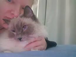 Calling all paella lovers! If you're keen to learn the secrets of a  deliciously unforgettable paella, this Paella & Churros Workshop could be  for you 😋