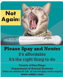 While our branches and centres are all unique, cats protection aims to make the cat adoption process as easy as possible. Pin By Dana Moore Gray On Spay Neuter Animal Advocacy Feral Cats Cat Love