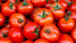 We did not find results for: Manfaat Tomat Untuk Wajah Berjerawat Dan Berminyak Dan Cara Memakainya