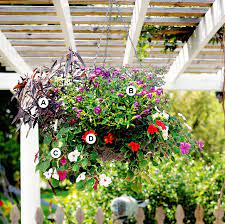 Massive hanging flower basket exploding with purple pink and white flowers. 25 Easy And Eye Catching Hanging Baskets Better Homes Gardens