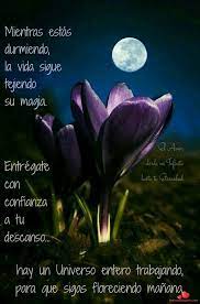 Descargue Bellas Imagenes Y Fotos Para Desearles Buenas Noches A Sus Amigos De Facebook Y Whatsapp Frases De Dul Buenas Noches Imagenes De Buenas Noches Noche