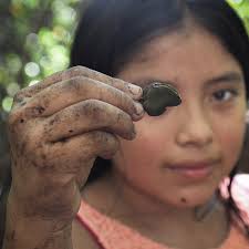 Así combate Metalío el deterioro de su manglar