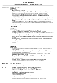 125+ samples, all free to save and format in pdf or word. Ar Analyst Resume Samples Velvet Jobs