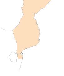 Image result for Triainolepis sancta