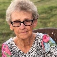 Leona Faye Robinson Obituary (2024)