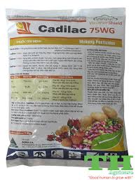 Cadilac 75WG