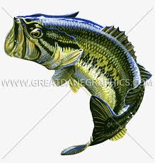 Check spelling or type a new query. Bass Fish Transparent Background Jumping Largemouth Bass Bass Fish Transparent Png 825x825 Free Download On Nicepng