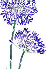 Large Agapanthus Flower Stencil C In 2021 Flower Stencil Sunflower Stencil Flower Art