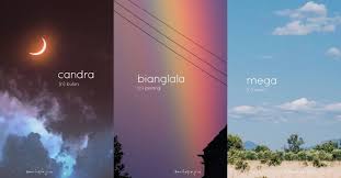 Seperti kita tahu dalam bahasa inggris, kita mengenal ada cardinal number (angka kartu), yakni berupa angka asli, 0 1 2 3, dst. Penulis Buku Kongsikan Kosa Kata Melayu Indah Yang Jarang Digunakan Hari Ini