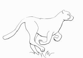 Check spelling or type a new query. Cheetah Drawing Cheetah Drawing Outline Drawings Labradoodle Art