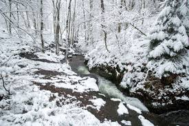 De 5 Mooiste Winterwandelingen In De Ardennen Oui Go Bestemmingen Sneeuw Winter