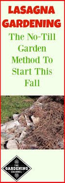 Lasagna Gardening 101 The Lazy No Till Garden Method That Works Gardening Channel Lasagna Gardening No Till Garden Organic Gardening Tips