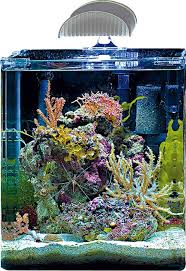 My Nano 60 Liter Reef Marine Fish Tanks Nano Aquarium Marine Aquarium