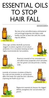 Let's take a closer look at some of the best essential oils for hair growth. Pin By Bhavin Joshi On Beauty Essential Oils For Hair Oil For Hair Loss Diy Hair Care