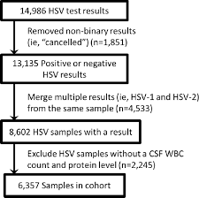 Objectives investigators have ruled out herpes simplex virus (hsv) infection without the detection of herpes simplex record review indicated these seven patients not tested by the algorithm with a positive csf hsv pcr were considered by their attending physician not to have active hsv. View Image