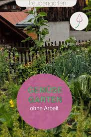 Pin Auf Gartentipps Tricks
