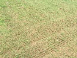 Maybe you would like to learn more about one of these? Slit Seeding Fort Wayne In Slice Seeding Fort Wayne