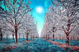 Tons of awesome high resolution gaming wallpapers to download for free. Cool Hd Wallpapers Backgrounds High Resolution Desktop Background Photography Wallpaper Hd 2048x1367 Wallpaper Teahub Io