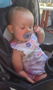 🐷 Piggles & Friends Rescue (@piggles_and_friends_rescue) • Instagram  photos and videos