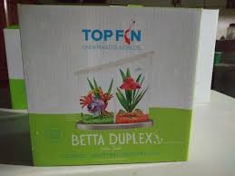 Predatory species should also be avoided. Topfin Betta Duplex Betta Tank For Sale In Detroit Mi Offerup