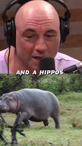 Big Game and Birds Around the World