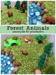 Forest Animals Sensory Bin Forest Animals Preschool Animal Activities For Kids Forest Animals Theme