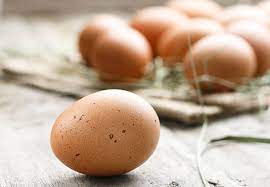 But if you don't have chickens or ducks of your own, where can you get fertile eggs? Should You Pay More For Cage Free Or Organic Eggs Cleveland Clinic