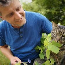 Energiearbeit Anton Kaineder