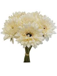 Primping required to match on the image shown. Sweet Home Deco 13 Silk Artificial Gerbera Daisy Flower Bunch W 7stems 7 Flower Heads Home Wedding Cream Pricepulse