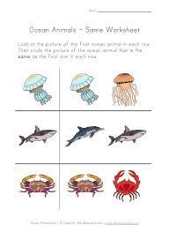 Ocean Animals Worksheets For Kids Animal Worksheets Ocean Animals Ocean Theme Preschool